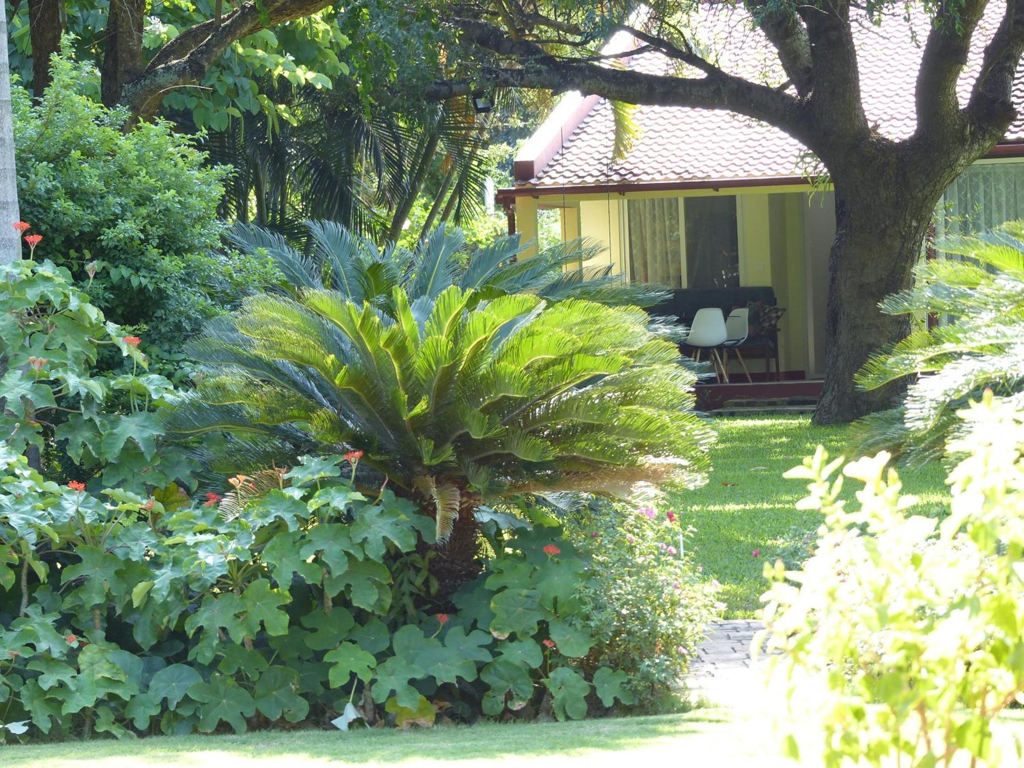 Hotel Ancha'S Oasis Maputo Exterior foto